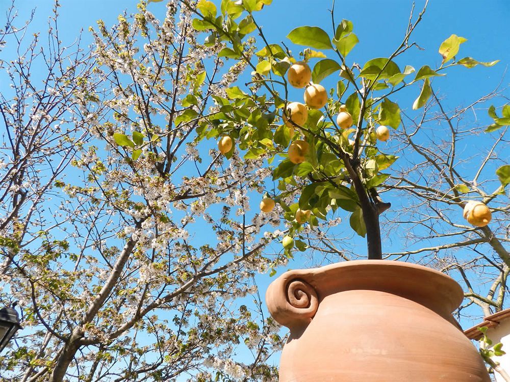 Bacio Del Sole B&B Positano Exterior foto